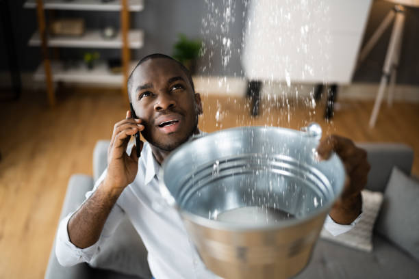 Best 24/7 water damage repair  in Wink, TX