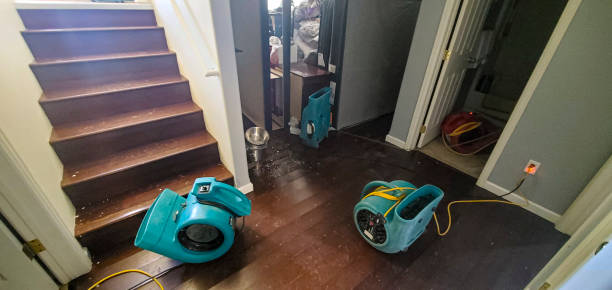 Best Professional water damage repair  in Wink, TX