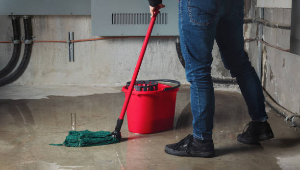 Best Water damage restoration cost  in Wink, TX