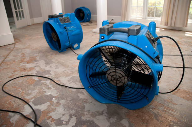 Best Water damage restoration near me  in Wink, TX