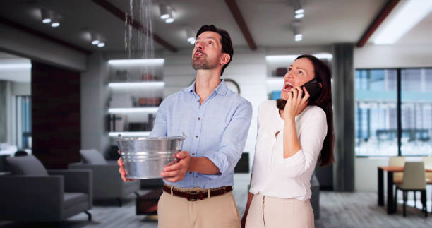 Carpet water damage restoration in Wink, TX