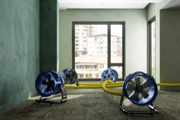Best Fire Damage Restoration  in Wink, TX