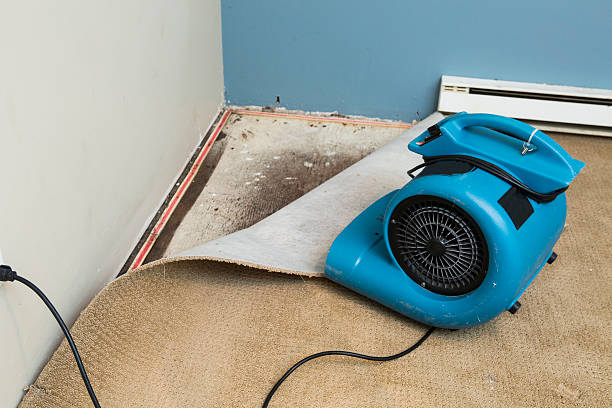 Best Sewage cleanup and water damage restoration  in Wink, TX